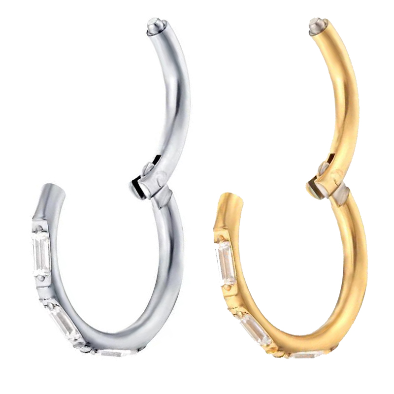 ASTM F136 Titanium Earrings Hi - Zoor Body Jewelry 评论和价格