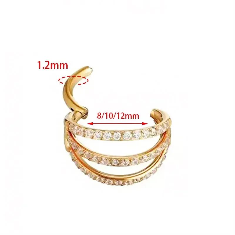 G23 Titanium Hinged Segment No - Zoor Body Jewelry 评论和价格